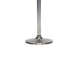 Manley 99-10 Dodge Viper 2.020in Diameter 5.728in Length Race Master Exhaust Valve (Single)