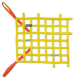 Sparco Window Net Fia Red