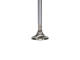 Manley 99-12 Ford 4.6L/281 5.4L/330 V8 37mm Race Series Stainless Steel Intake Valves (Set of 8)