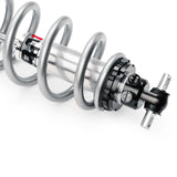 Photo - Close Up