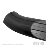 Westin 2019 Ram 1500 Crew Cab (Excl. 1500 Classic) PRO TRAXX 4 Oval Nerf Step Bars - SS - Black