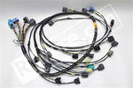 Rywire Honda S2000 AP1/AP2 (Early) Mil-Spec Engine Harness w/OEM Coils/Injector/ECU Plugs