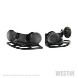 Westin Multi-Point HLR Adjustable Tie Down - Black