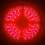 Oracle Side Emitting LED 12in Strip - Red