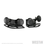 Westin Multi-Point HLR Adjustable Tie Down - Black