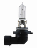 Hella Bulb 9005 12V 65W P20D T4 +50 (2)